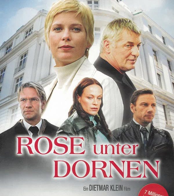 Rose unter Dornen