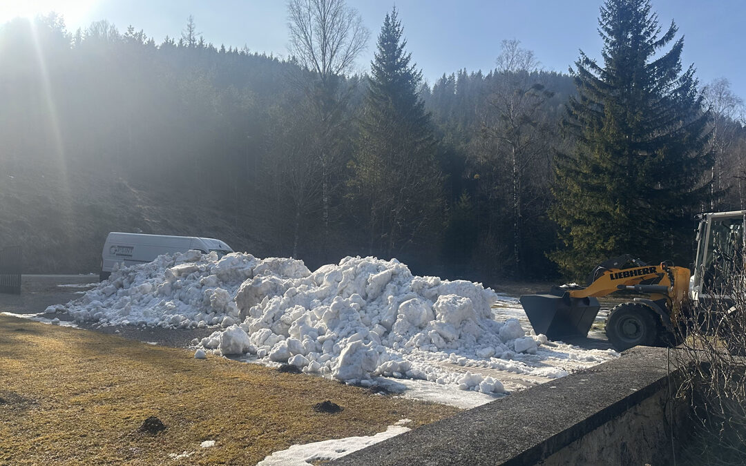 Green Filming bei „Dahlmanns letzte Bescherung“